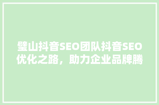 璧山抖音SEO团队抖音SEO优化之路，助力企业品牌腾飞