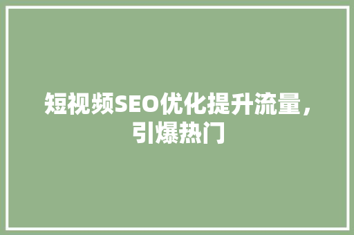 短视频SEO优化提升流量，引爆热门