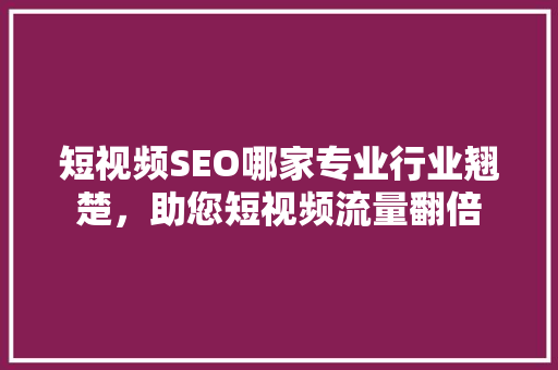 短视频SEO哪家专业行业翘楚，助您短视频流量翻倍