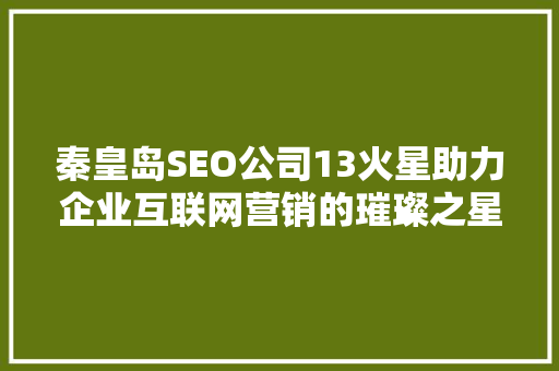 秦皇岛SEO公司13火星助力企业互联网营销的璀璨之星