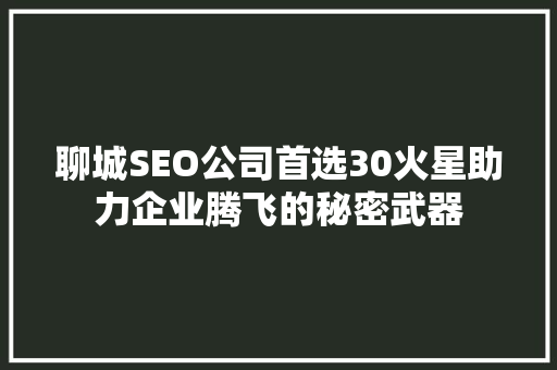 聊城SEO公司首选30火星助力企业腾飞的秘密武器