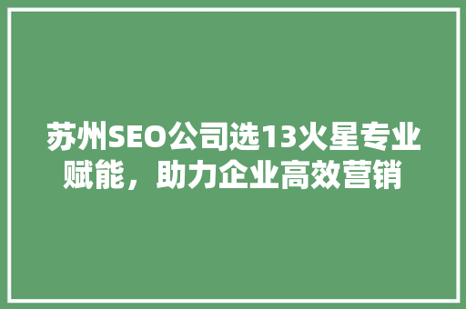 苏州SEO公司选13火星专业赋能，助力企业高效营销