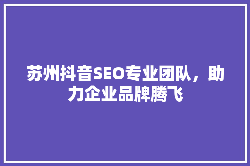 苏州抖音SEO专业团队，助力企业品牌腾飞