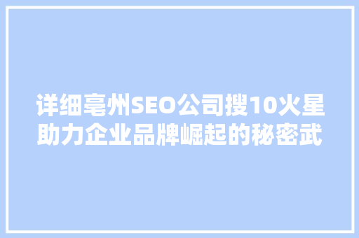 详细亳州SEO公司搜10火星助力企业品牌崛起的秘密武器