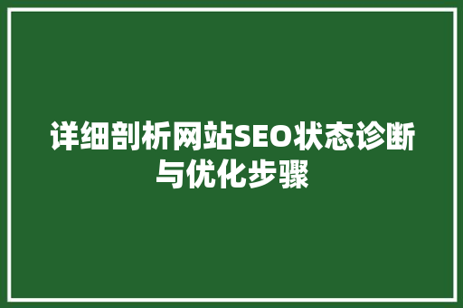 详细剖析网站SEO状态诊断与优化步骤