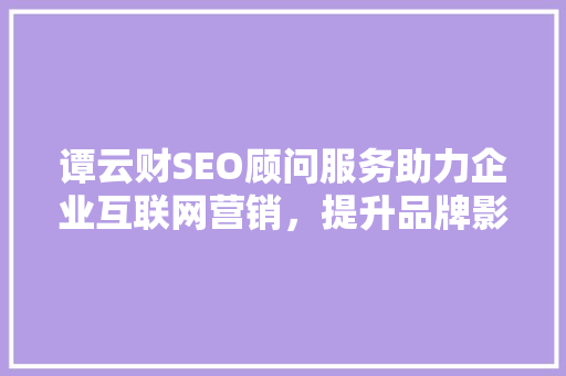 谭云财SEO顾问服务助力企业互联网营销，提升品牌影响力  第1张