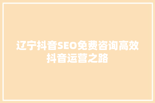 辽宁抖音SEO免费咨询高效抖音运营之路