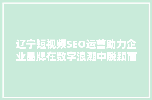 辽宁短视频SEO运营助力企业品牌在数字浪潮中脱颖而出