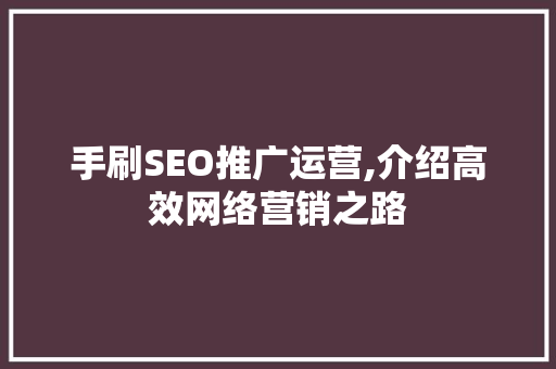 手刷SEO推广运营,介绍高效网络营销之路