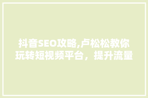 抖音SEO攻略,卢松松教你玩转短视频平台，提升流量与曝光