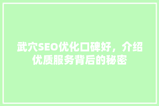武穴SEO优化口碑好，介绍优质服务背后的秘密