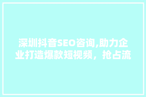 深圳抖音SEO咨询,助力企业打造爆款短视频，抢占流量红利