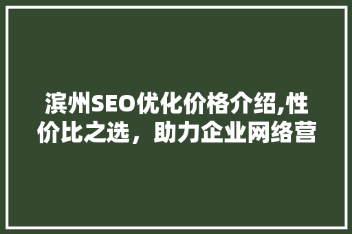 滨州SEO优化价格介绍,性价比之选，助力企业网络营销腾飞