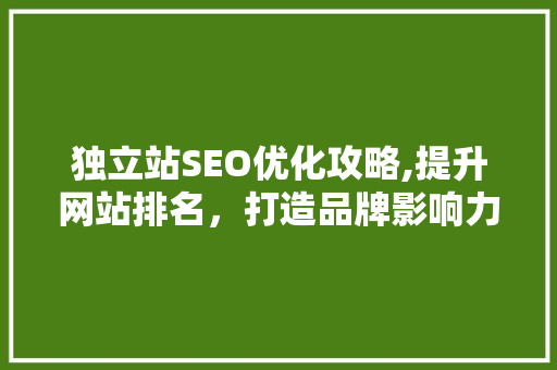 独立站SEO优化攻略,提升网站排名，打造品牌影响力