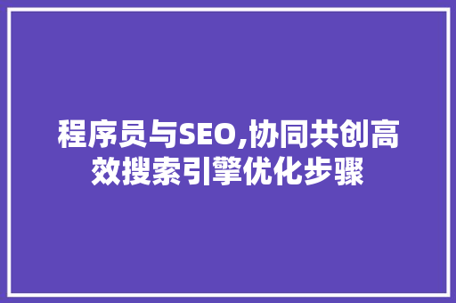 程序员与SEO,协同共创高效搜索引擎优化步骤