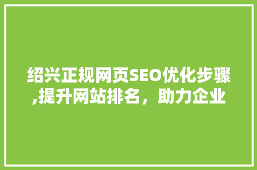 绍兴正规网页SEO优化步骤,提升网站排名，助力企业腾飞