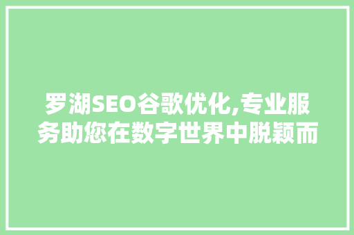 罗湖SEO谷歌优化,专业服务助您在数字世界中脱颖而出