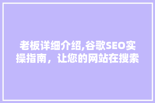 老板详细介绍,谷歌SEO实操指南，让您的网站在搜索引擎中脱颖而出