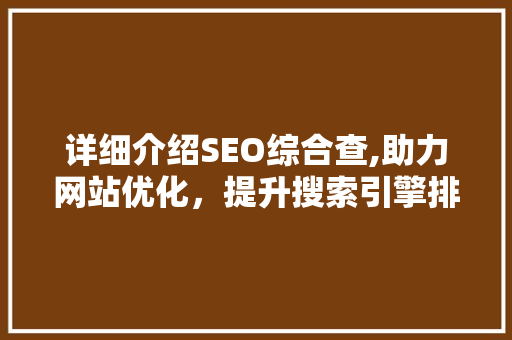 详细介绍SEO综合查,助力网站优化，提升搜索引擎排名  第1张