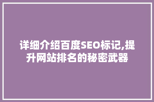 详细介绍百度SEO标记,提升网站排名的秘密武器
