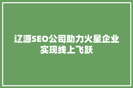 辽源SEO公司助力火星企业实现线上飞跃