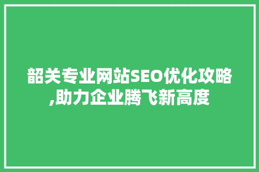韶关专业网站SEO优化攻略,助力企业腾飞新高度