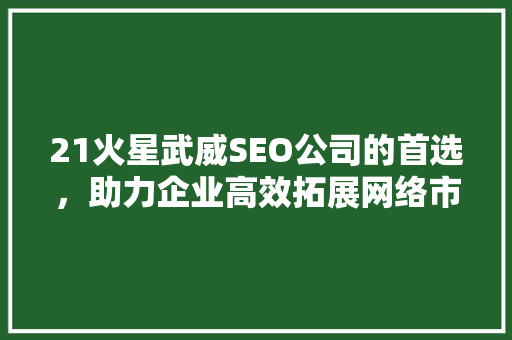 21火星武威SEO公司的首选，助力企业高效拓展网络市场