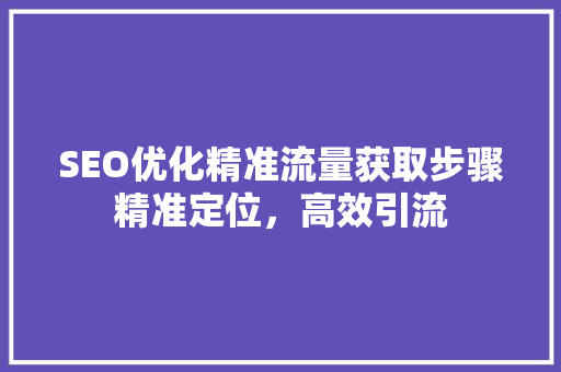 SEO优化精准流量获取步骤精准定位，高效引流