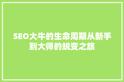 SEO大牛的生命周期从新手到大师的蜕变之旅