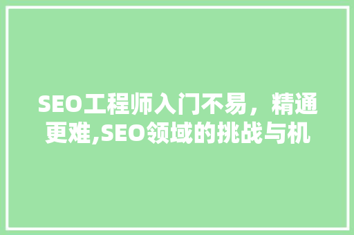 SEO工程师入门不易，精通更难,SEO领域的挑战与机遇