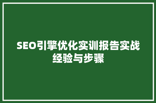 SEO引擎优化实训报告实战经验与步骤