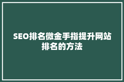 SEO排名微金手指提升网站排名的方法