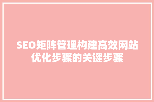 SEO矩阵管理构建高效网站优化步骤的关键步骤