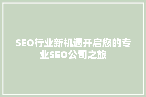 SEO行业新机遇开启您的专业SEO公司之旅