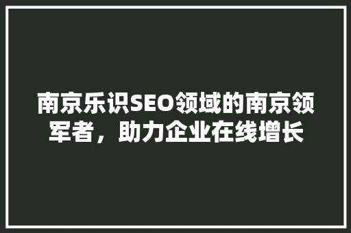 南京乐识SEO领域的南京领军者，助力企业在线增长