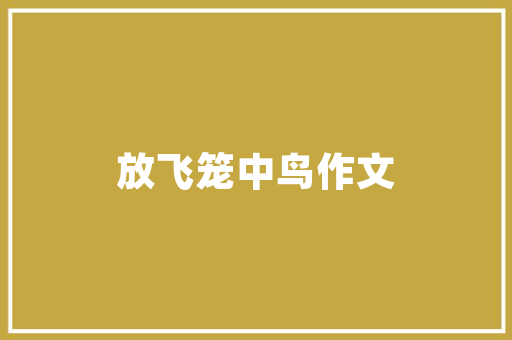 分号字符代码在信息技术领域的应用与发展