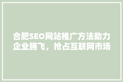 合肥SEO网站推广方法助力企业腾飞，抢占互联网市场制高点