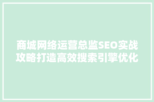 商城网络运营总监SEO实战攻略打造高效搜索引擎优化步骤