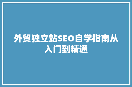 外贸独立站SEO自学指南从入门到精通