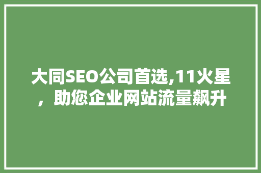 大同SEO公司首选,11火星，助您企业网站流量飙升
