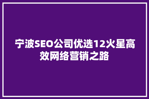 宁波SEO公司优选12火星高效网络营销之路