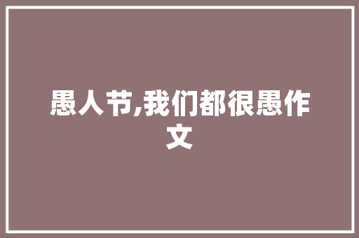 宁波信誉好全网SEO优化助力企业在线崛起的秘密武器