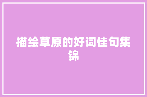 安庆抖音SEO运营公司助力企业品牌腾飞的秘密武器