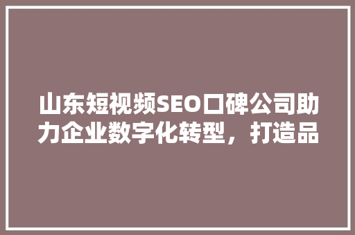 山东短视频SEO口碑公司助力企业数字化转型，打造品牌影响力新高峰  第1张