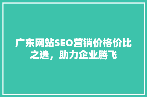 广东网站SEO营销价格价比之选，助力企业腾飞