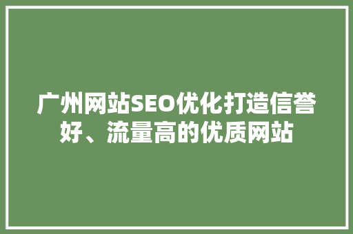 广州网站SEO优化打造信誉好、流量高的优质网站