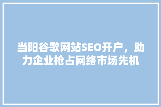 当阳谷歌网站SEO开户，助力企业抢占网络市场先机