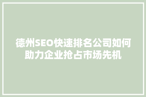 德州SEO快速排名公司如何助力企业抢占市场先机