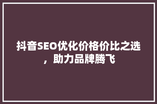抖音SEO优化价格价比之选，助力品牌腾飞