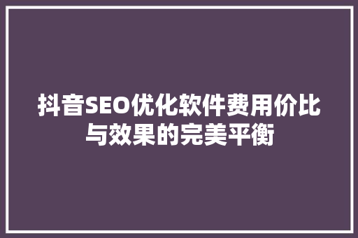 抖音SEO优化软件费用价比与效果的完美平衡